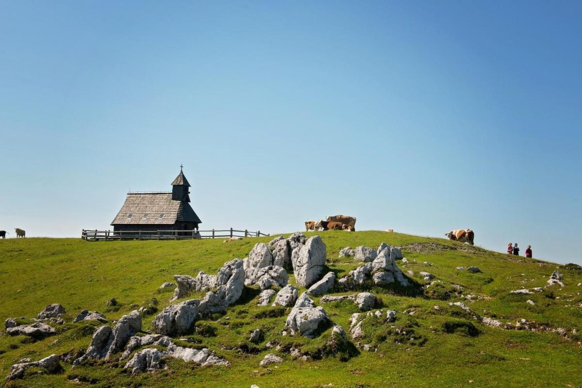 Lodge Koca Predilnica Velika Planina *