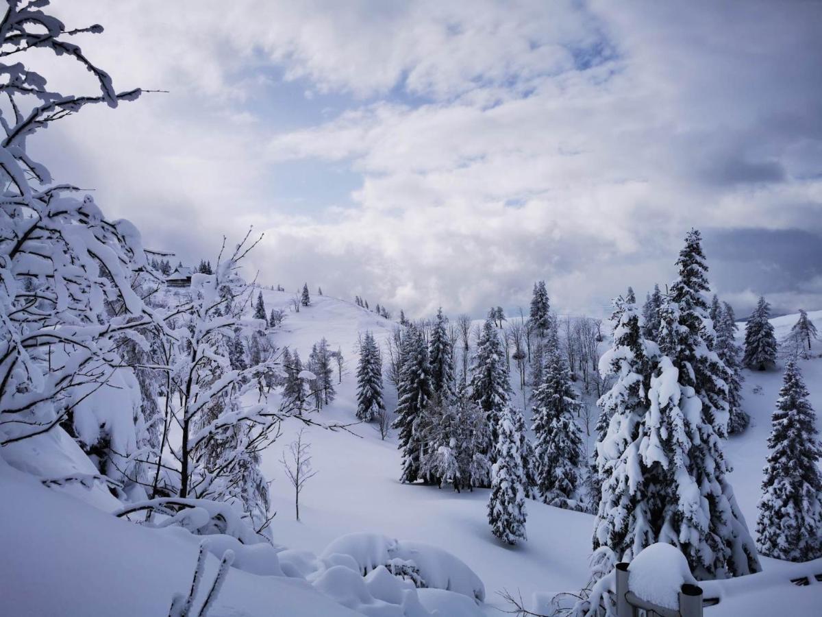 Koca Predilnica Velika Planina * Kamniska Bistrica