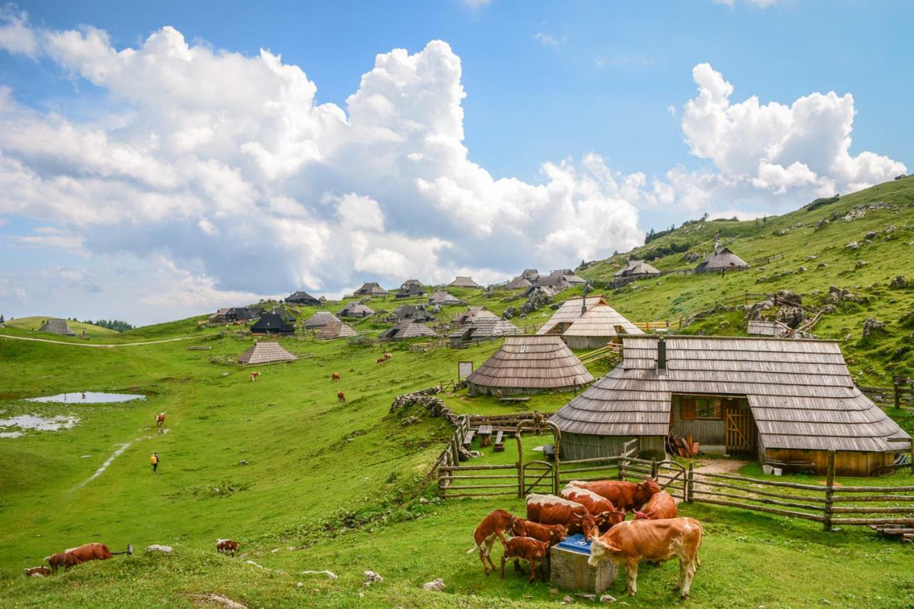 Lodge Koca Predilnica Velika Planina Kamniska Bistrica